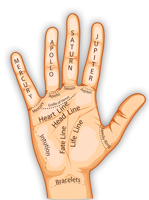 Master Vishnu Psychic and Spiritual Advisor Atlanta Georgia